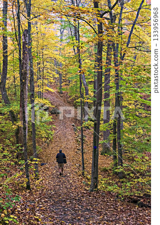 Fall colors Algonquin Park, Ontario, Canada. 133956968