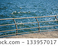 港口的岸邊 133957017