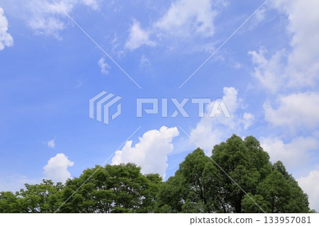 清爽的夏日白雲 清爽的夏日白雲 133957081