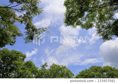 清爽的夏日天空 清爽的夏日天空 133957082