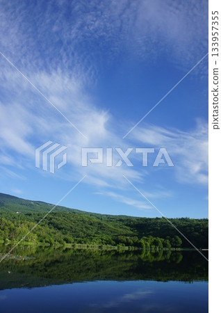 初夏的原木湖畔@群馬縣嬬戀村原木高原③ 初夏的原木湖畔@群馬縣嬬戀村原木高原③ 133957355