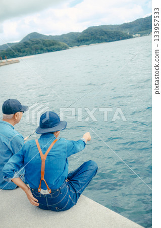 一對老年夫婦在海灘上享受釣魚的背影 133957533