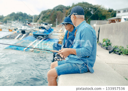 一對老年夫婦在海灘上享受釣魚的背影 133957536