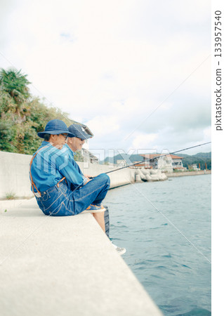 一對老年夫婦在海灘上享受釣魚的背影 133957540