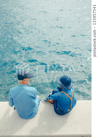 一對老年夫婦在海灘上享受釣魚的背影 133957541