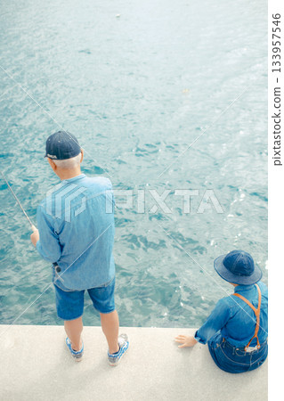 Rear view of a senior couple enjoying fishing at the beach 133957546