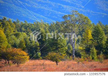 [Oku-Nikko] The Lady of Odashirogahara and the Autumn Grass Leaves *The Lady is on the right 133957576