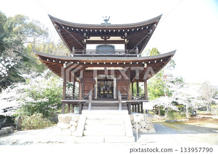 觀修寺 2025 觀修寺 2025 133957790