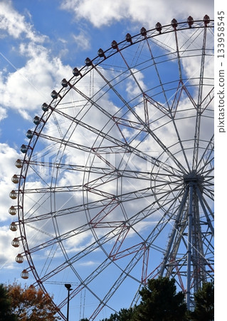 摩天輪（Kasai Rinkai Park） 133958545
