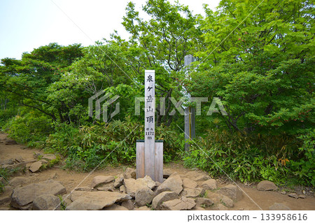 Izumigatake summit sign and fresh green scenery 133958616