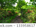 A path leading to the summit surrounded by trees 133958617