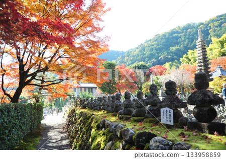 Adashino Nenbutsu-ji Temple 2025① Adashino Nenbutsu-ji Temple 2025① 133958859