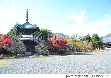 清涼寺2025② 清涼寺2025② 133959334