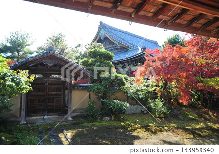 清涼寺庭園2025⑤ 清涼寺庭園2025⑤ 133959340