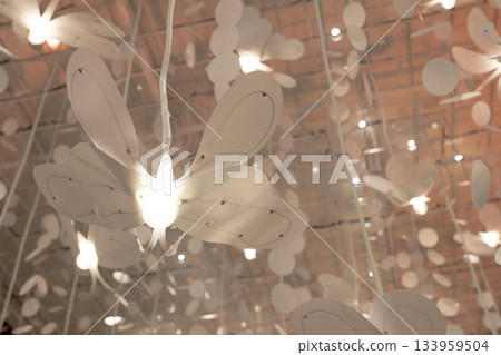 Petal transparent to light Petal transparent to light 133959504