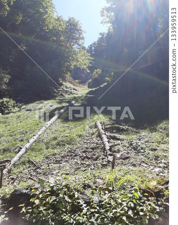 Sunshine seen from Bungui Pass in a zero magnetic field 133959513