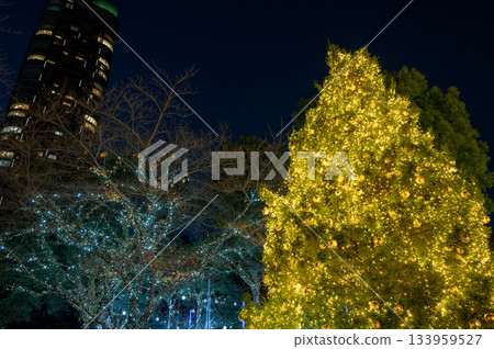 在夜晚的城市裡，一棵金色的聖誕樹閃閃發光。 133959527