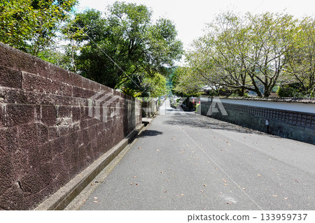 【宮崎駿】帶城 133959737