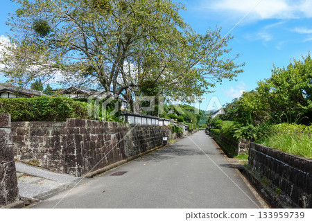 [Miyazaki] Obi Castle 133959739