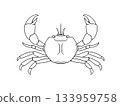 Line drawing of a crab facing forward 133959758