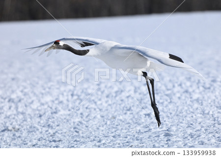 日本起重機，著陸前 133959938