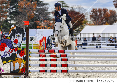 Setagaya Ward, Tokyo, Japan Breeding Show Jumping Horse Show at Equestrian Park 133959979