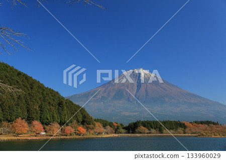 Lake Tanuki Lake Tanuki 133960029