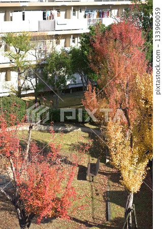 住宅區公園裡的秋葉 133960059