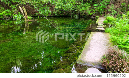 Ikeyama Spring in Aso City, Kumamoto Prefecture Ikeyama Spring in Aso City, Kumamoto Prefecture 133960202