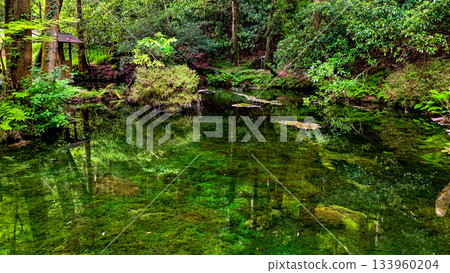 Ikeyama Spring in Aso City, Kumamoto Prefecture Ikeyama Spring in Aso City, Kumamoto Prefecture 133960204