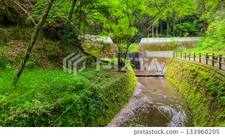 Ikeyama Spring in Aso City, Kumamoto Prefecture Ikeyama Spring in Aso City, Kumamoto Prefecture 133960205