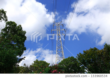 Transmission lines that carry large amounts of electricity from power plants to substations and consumption areas Transmission lines that carry large amounts of electricity from power plants to substations and consumption areas 133960534