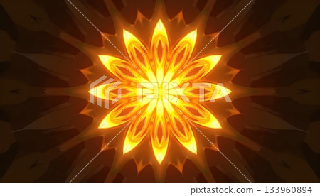 Radiant Golden Floral Burst Expanding Into A Symmetrical Luminous Pattern 133960894