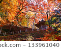 秋葉環繞著香嵐溪高泉寺太子堂。 133961040