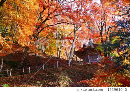 Autumn leaves surrounding the Taishido Hall of Kosenji Temple in Korankei 133961040