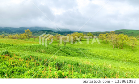 Aso's spectacular driving course 133961088