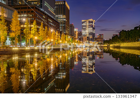 Ginkgo Tree Line (Babasaki Moat) 133961347