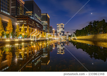銀杏樹線（巴巴薩基護城河） 133961348