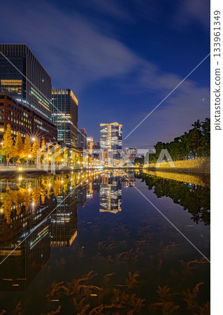 銀杏樹線（巴巴薩基護城河） 133961349