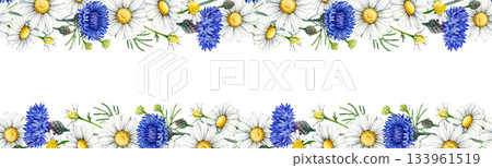 Chamomile flowers with blue cornflowers seamless border decor element vintage style watercolor illustration. Hand drawn wildflower meadow flowers floral rustic decoration border on white background 133961519