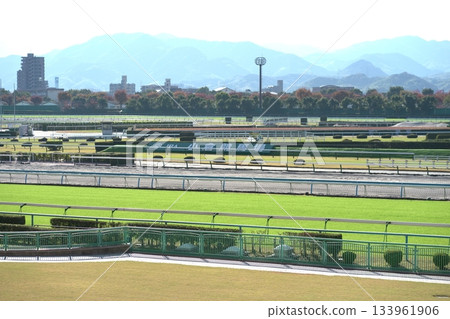小倉賽馬場的主賽道 小倉賽馬場的主賽道 133961906