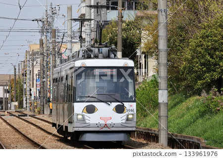 東急世田谷線列車行駛中的景色 東急世田谷線列車行駛中的景色 133961976