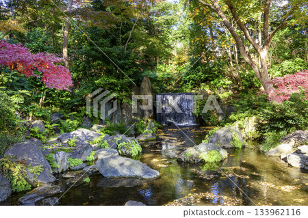 Tokyo Koishikawa Korakuen Shiraito Falls Autumn foliage scenery National Special Historic Site 133962116