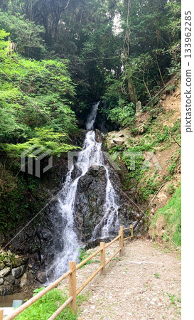 Enjoy the beauty of each season at Choon Falls Enjoy the beauty of each season at Choon Falls 133962285