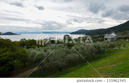 [Shodoshima] Olive Park 133962345