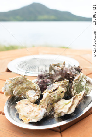 Glamping facility BBQ food set Glamping facility BBQ food set 133962421