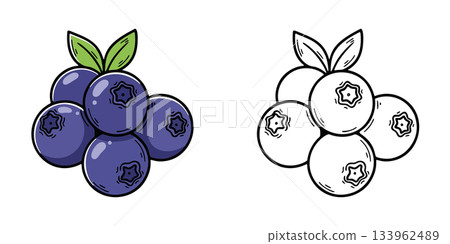 簡單的藍莓圖示插圖 133962489