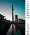 Invert sky tree 133962522