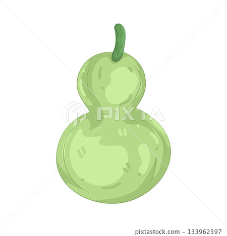 Illustration of bottle gourd Illustration of bottle gourd 133962597