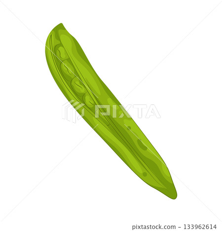 Illustration of green peas Illustration of green peas 133962614